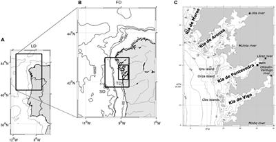 A High-Resolution Modeling Study of the Circulation Patterns at a Coastal Embayment: Ría de Pontevedra (NW Spain) Under Upwelling and Downwelling Conditions